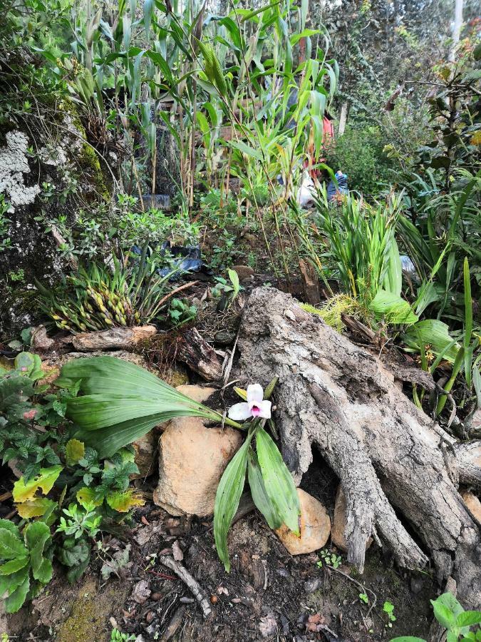 Renta De Cabanas, Centro Ecoturistico Rural Sustentable Labor San Jose ซานกริสโตบัล เด ลาสกาซาส ภายนอก รูปภาพ